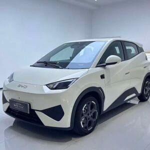 BYD Seagull 2025 Smart Driving Edition 305km